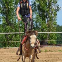 sportovni_den_s_konmi2012_48