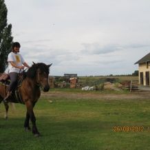 western_kurz_80
