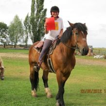 western_kurz_82
